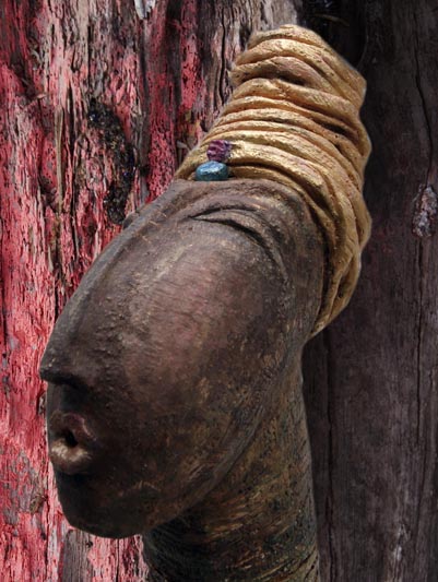 Turbanwesen vor farbigem Holz, Gro&szlig;aufnahme